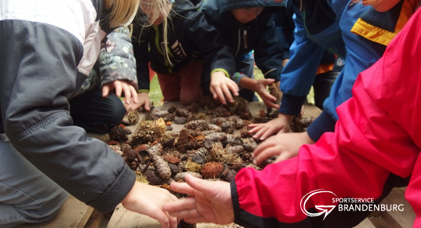 ...beim Bau des Insektenhotels für Wildbienen