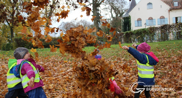 Toben im Herbstlaub